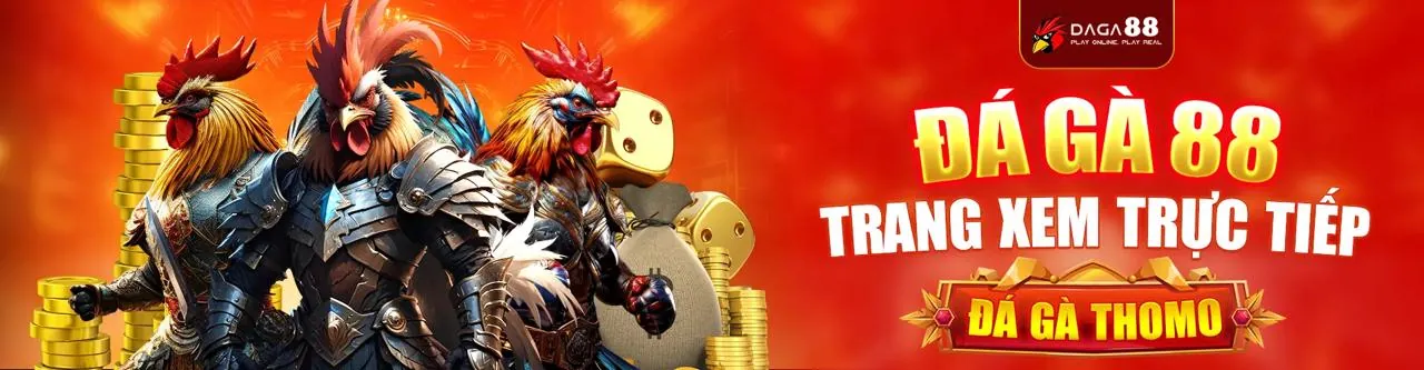 Tầm nhìn tương lai của Haywin trang chủ chính thức